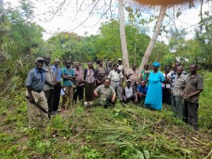 zilala tree nursery